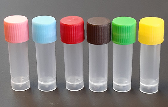 Slide Image